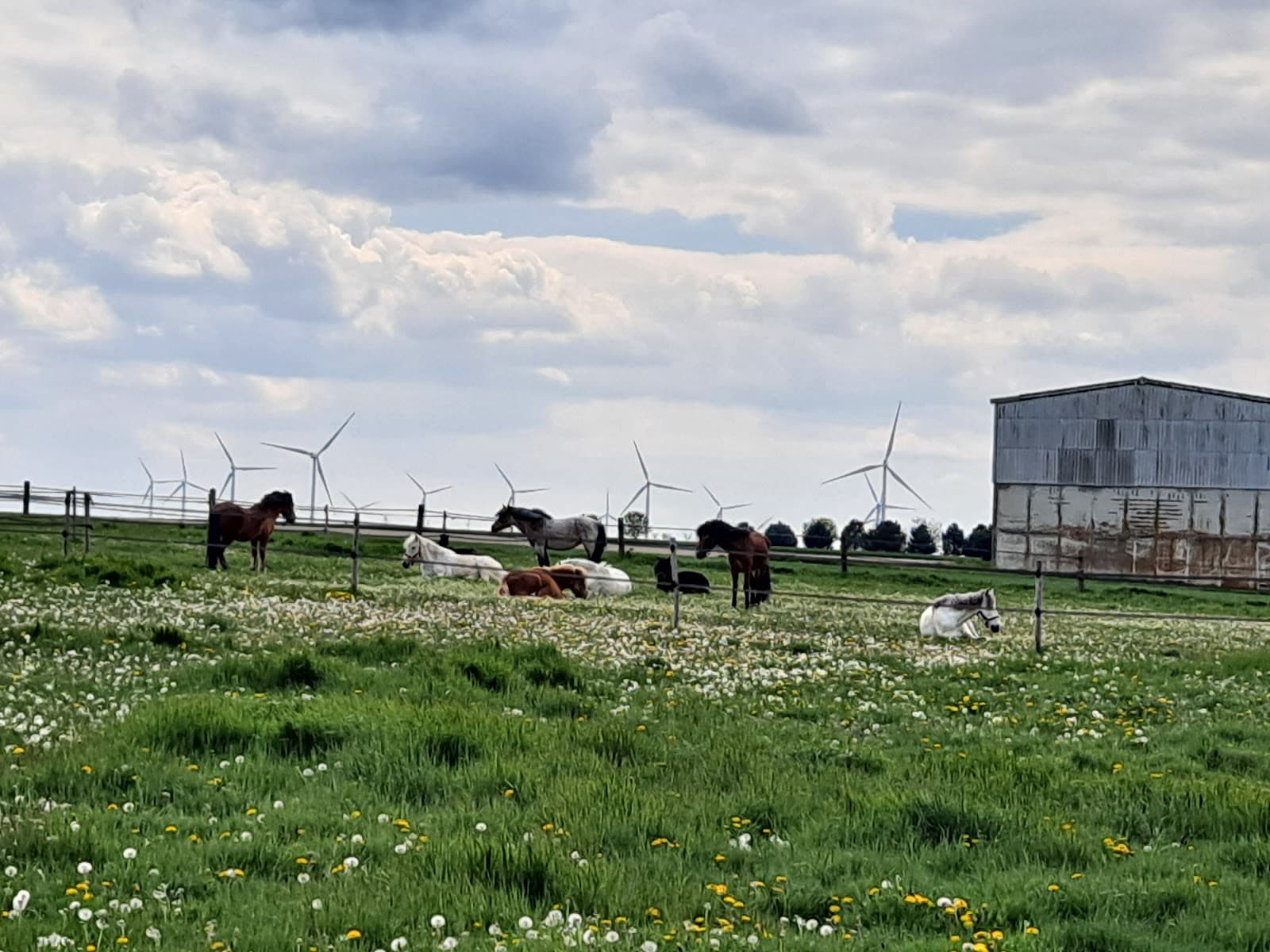ECURIES DU NUIRAT — photo 1