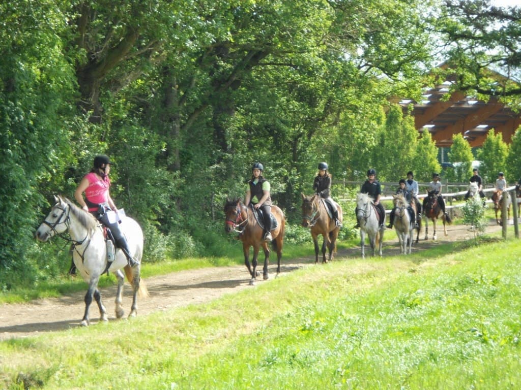 ECURIES DU PALORDET — photo 1