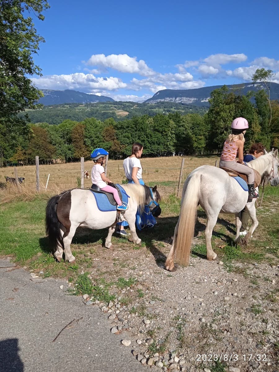 ECURIES DU PARC — photo 1