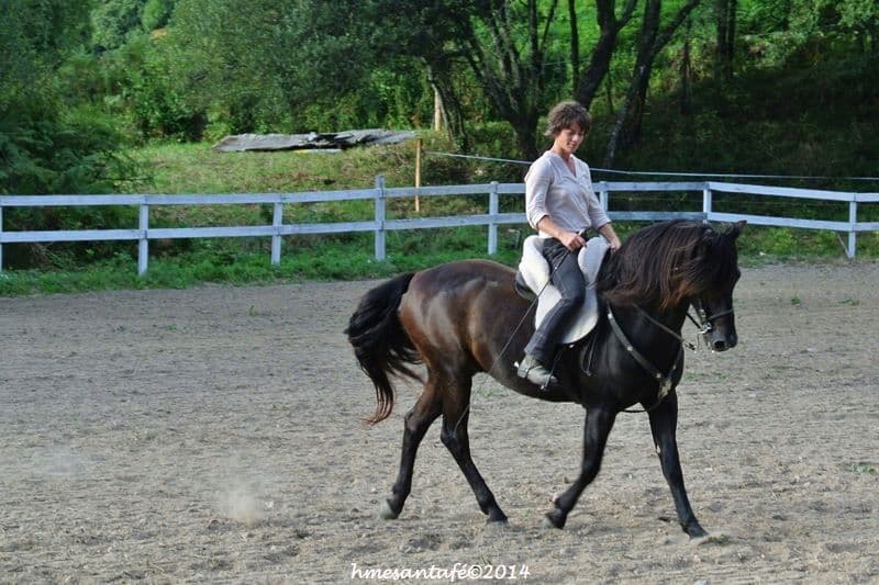ECURIES DU ROC — photo 1