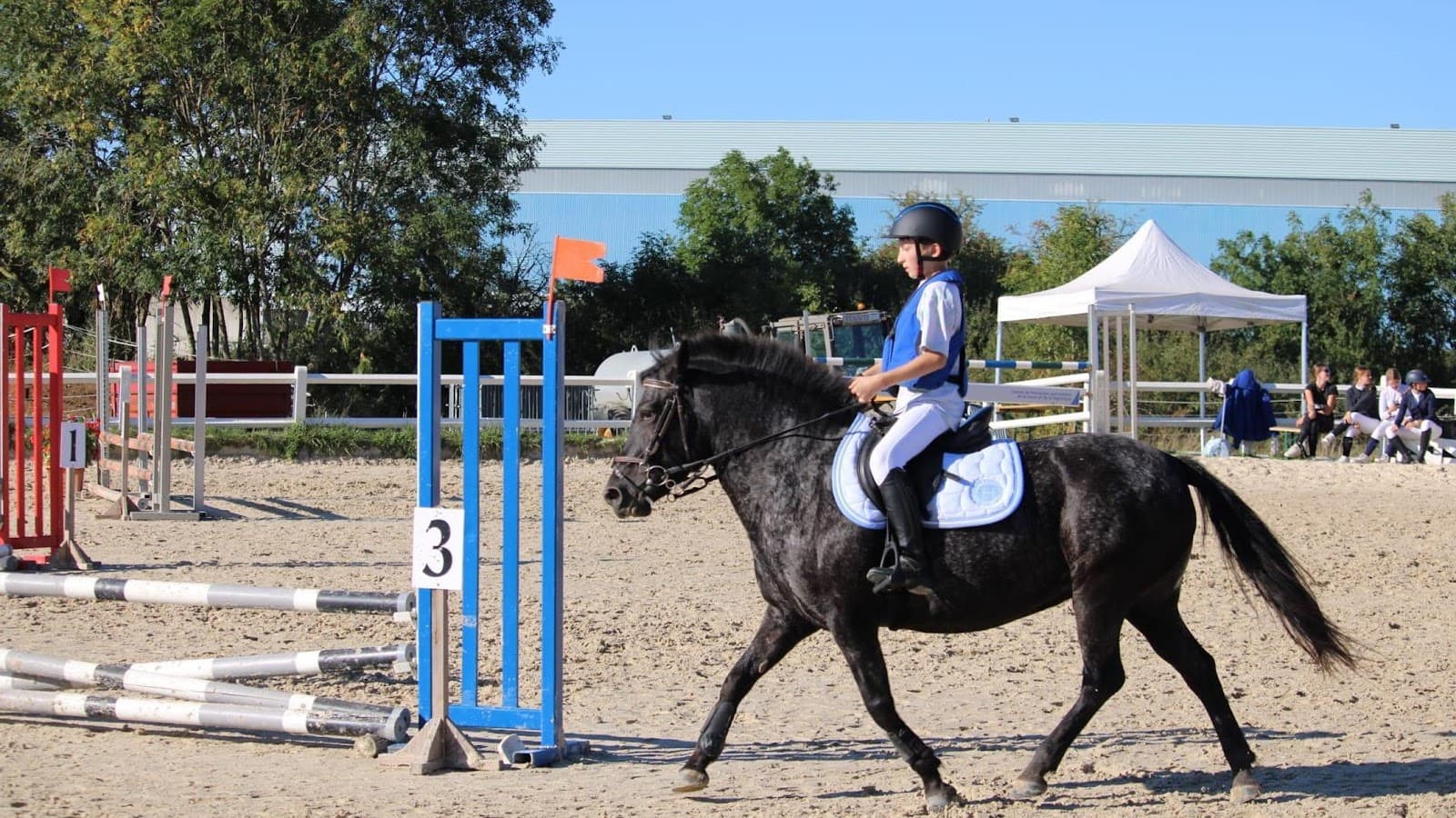 ECURIES LALYE - EI GUILLAUMEE CHANTAL — photo 1