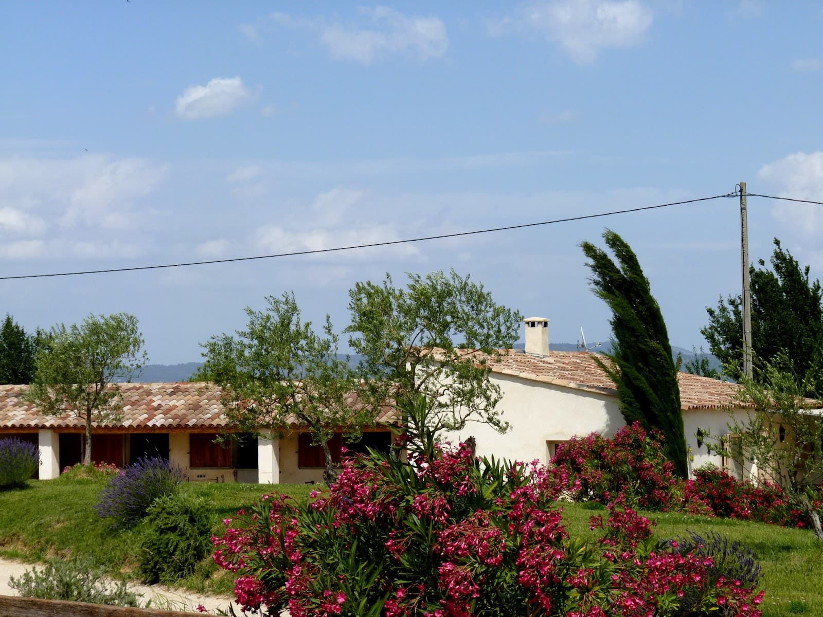 ECURIES LE CROS — photo 1