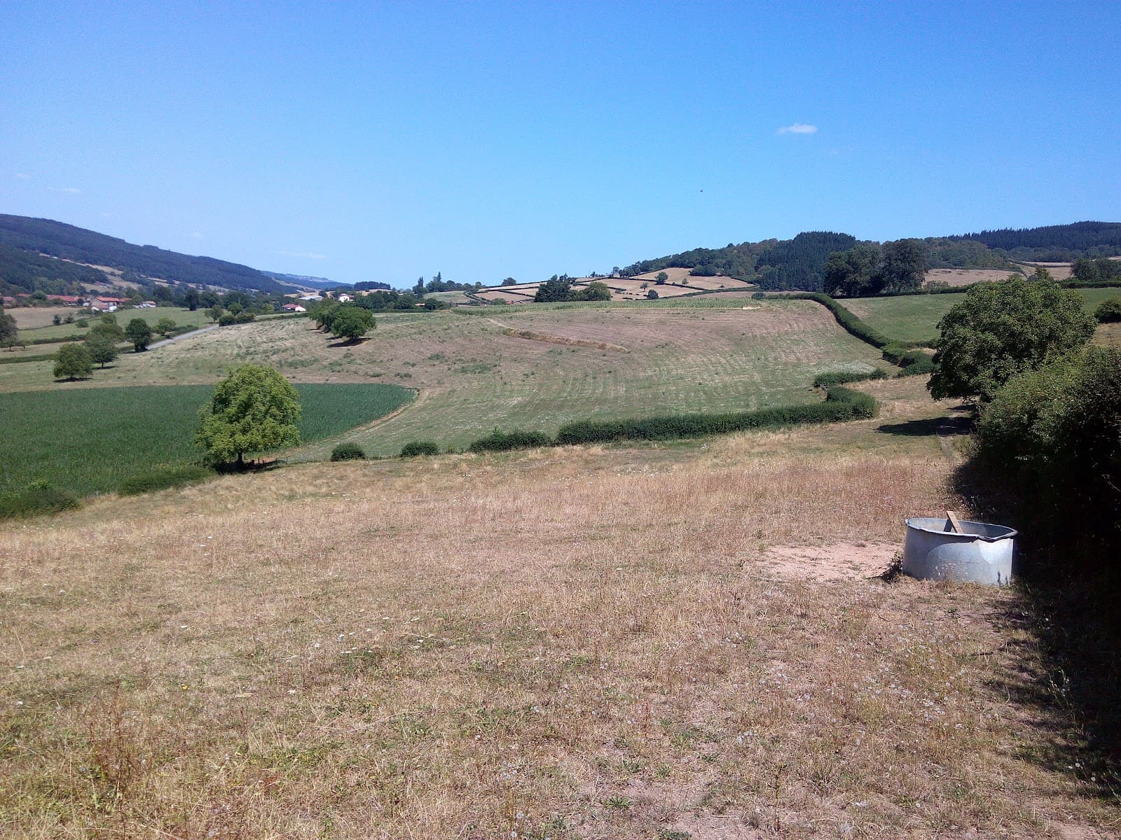 ELEVAGE DE BLANCHIZET — photo 1