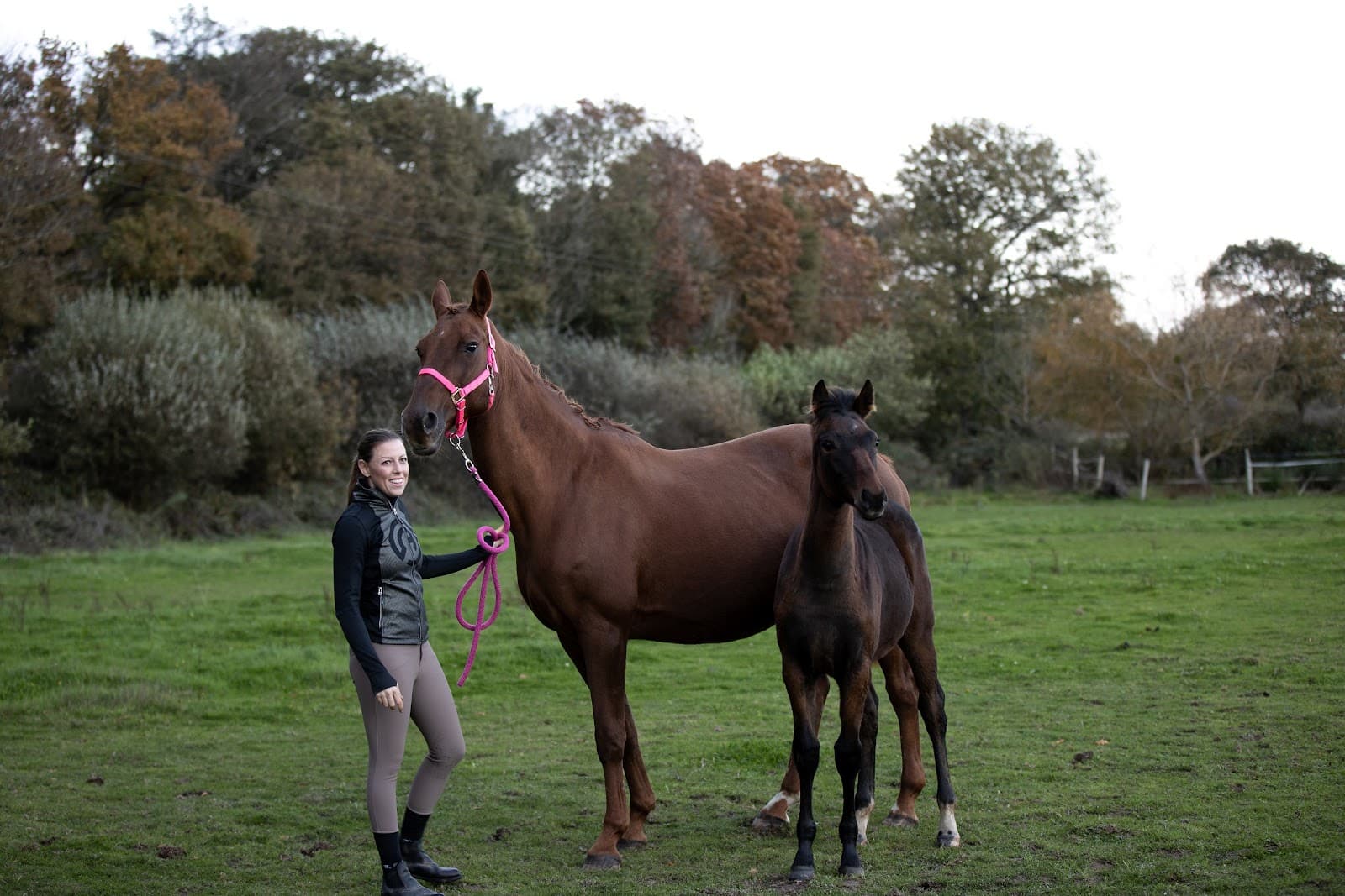 EMILIE GUILLON EQUITATION — photo 1