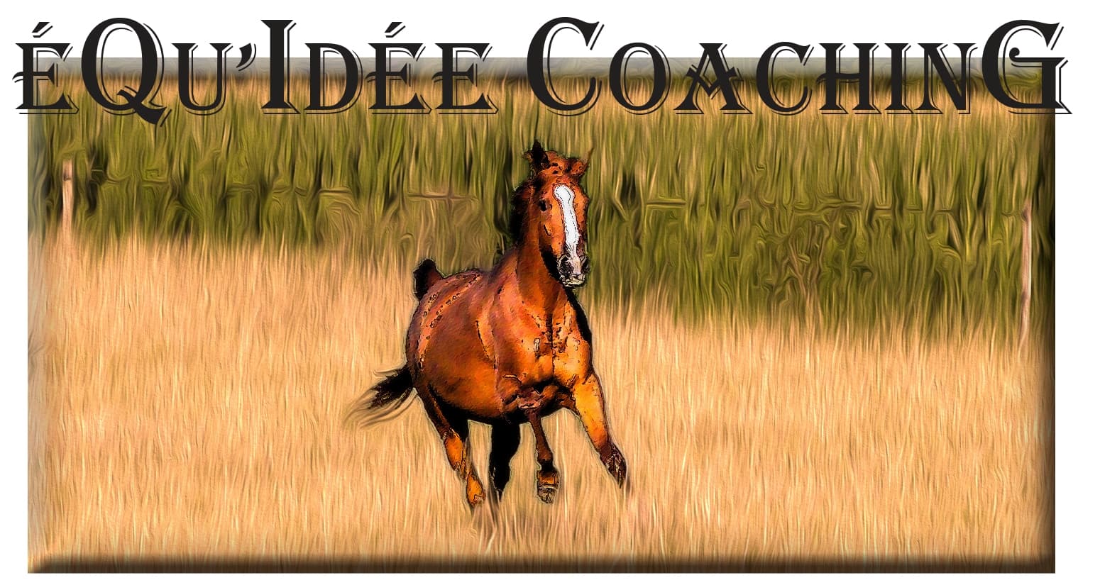 Equ'Idée Coaching — photo 1