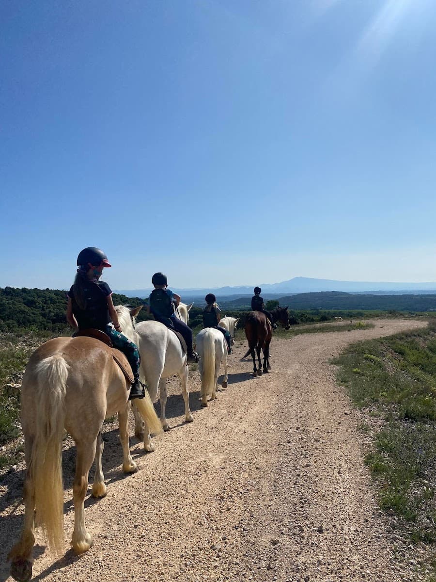 EQUI ACCOMPAGNE CTRE EQUESTRE DE LIRAC — photo 1