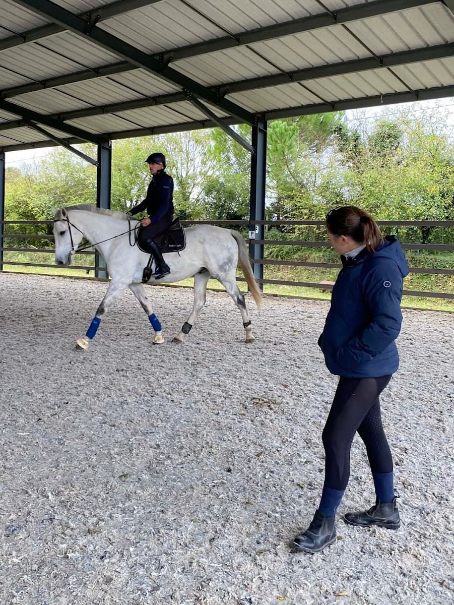 EQUI HARMONIE — photo 1