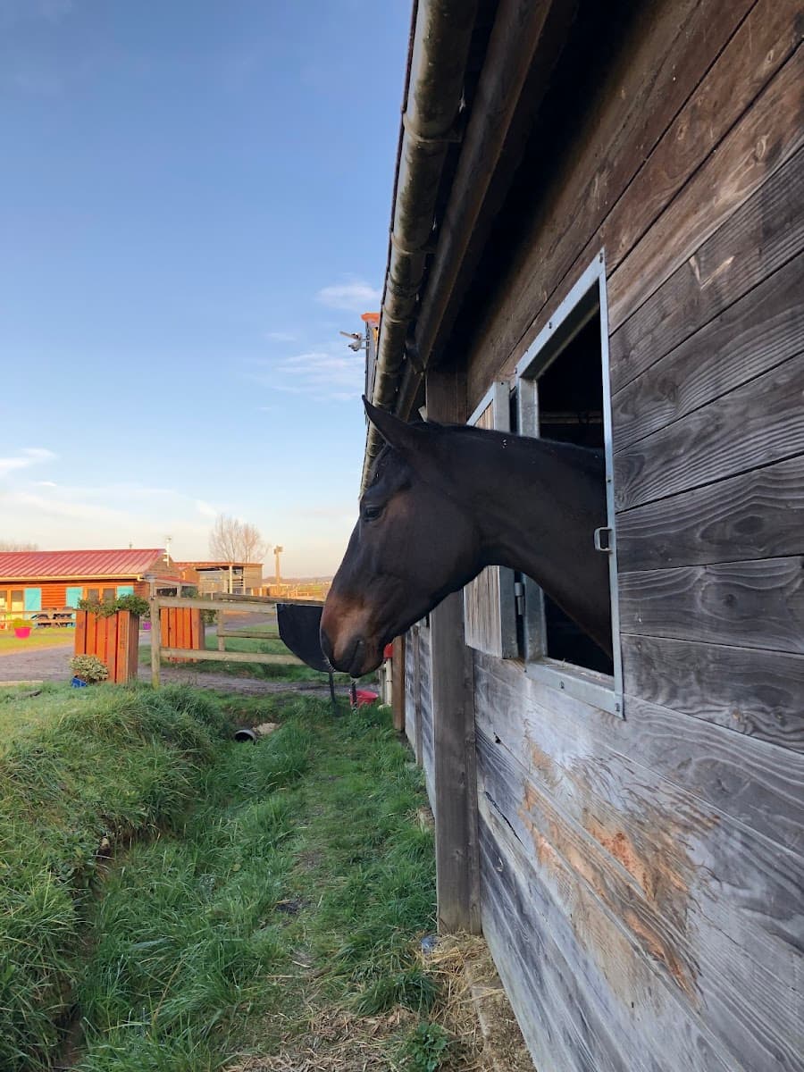 EQUI JUMP LAB — photo 1