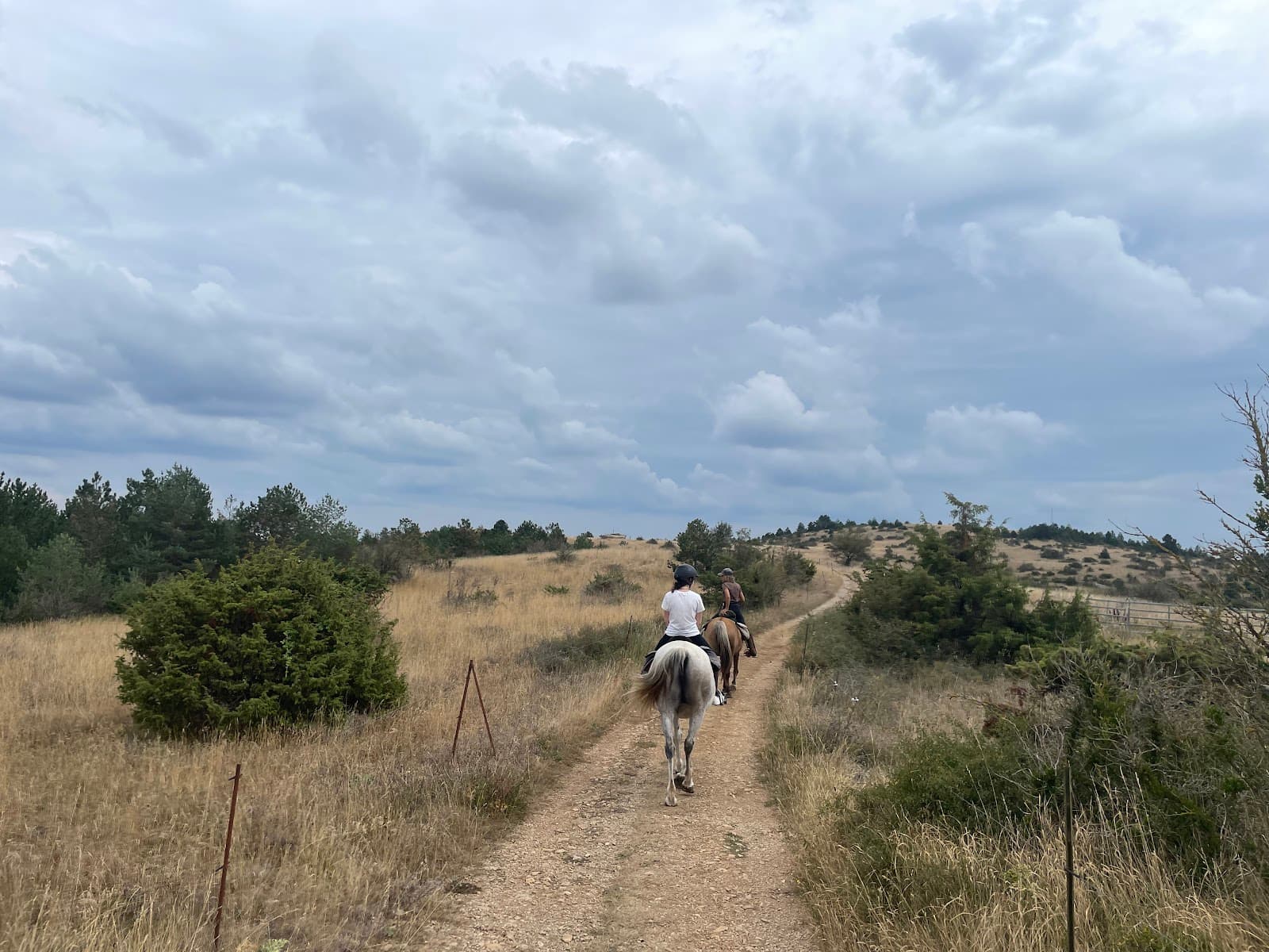EQUI LARZAC — photo 1