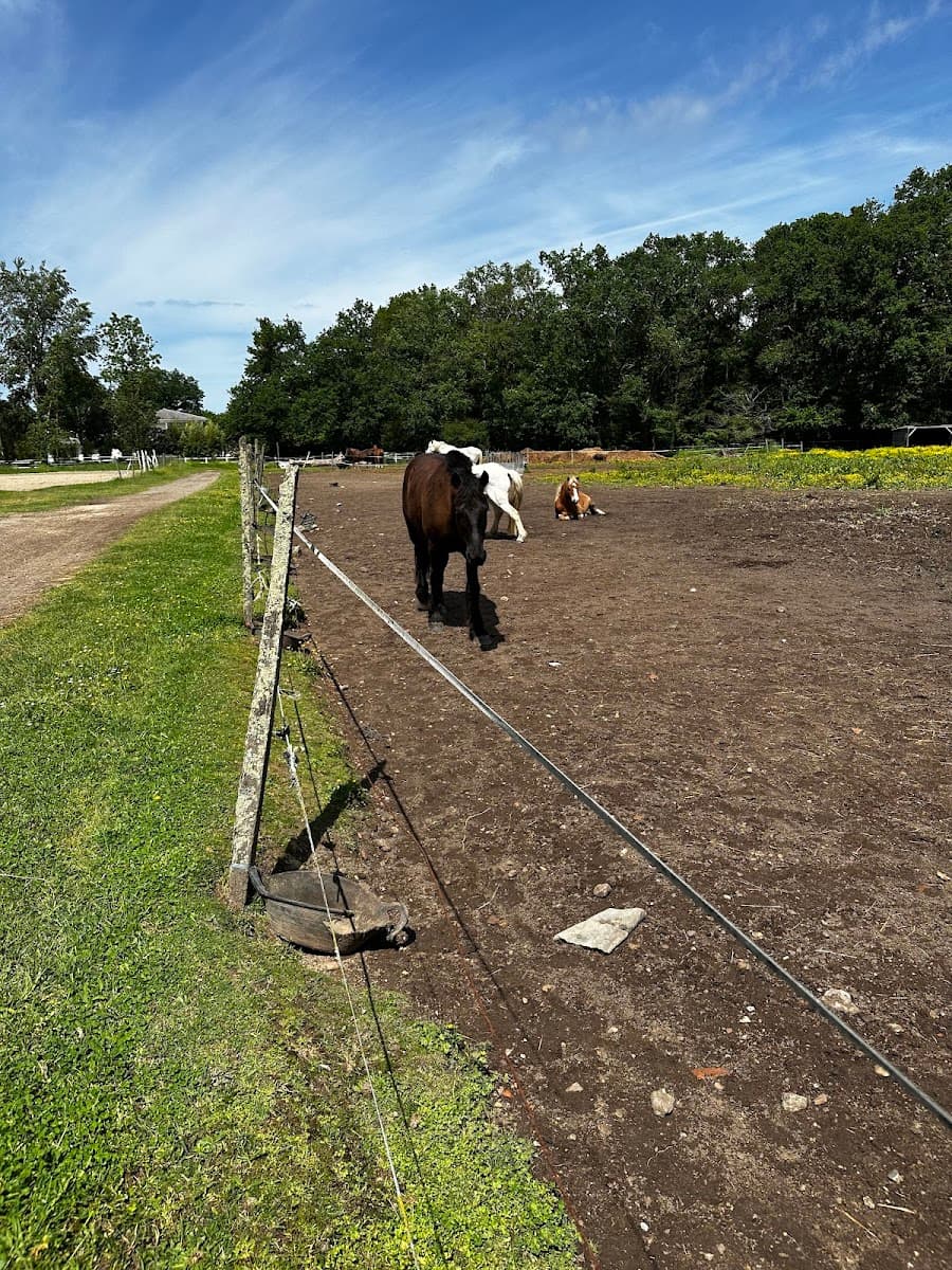 EQUI LOGOS — photo 1