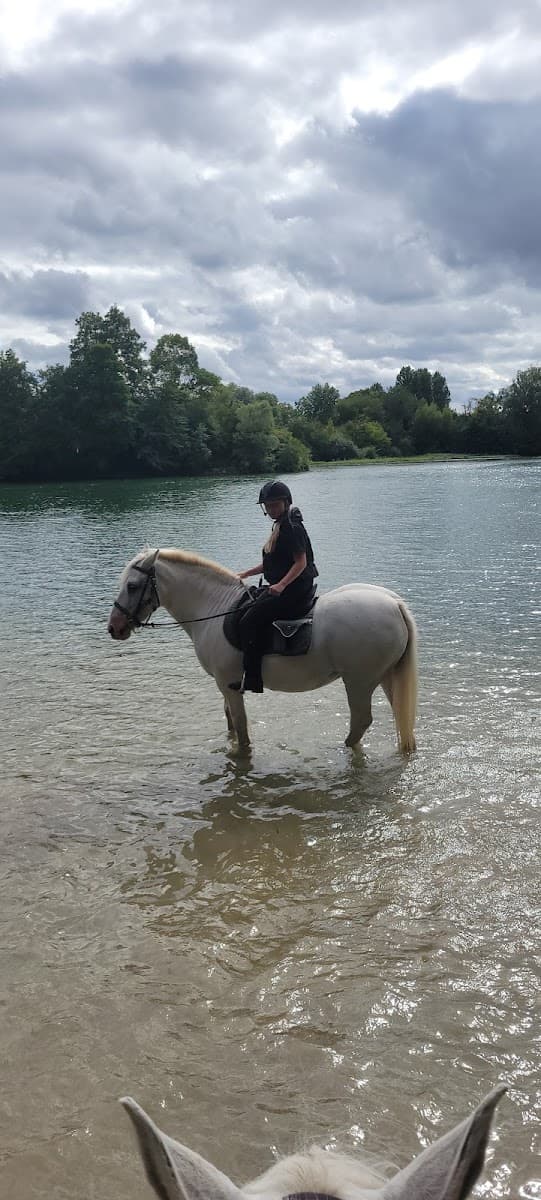 EQUI LOISIRS — photo 1