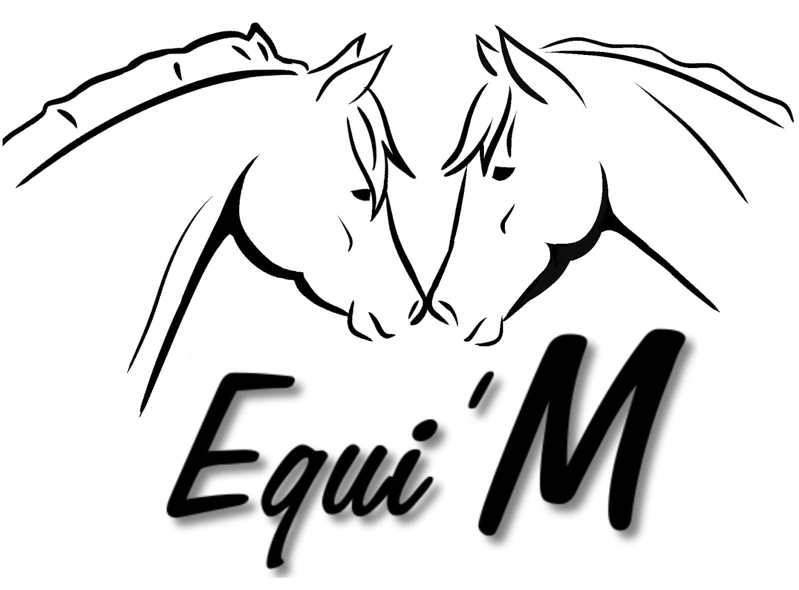 EQUI M — photo 1
