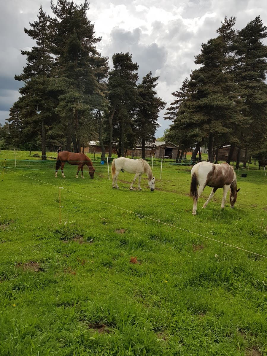 EQUI NATURE — photo 1