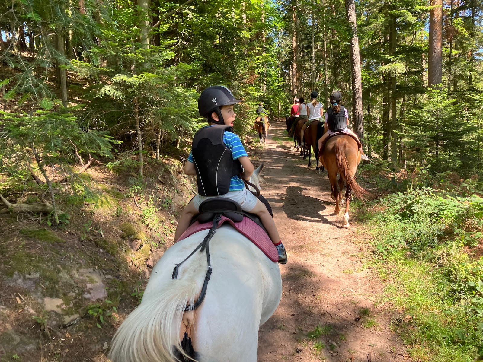 EQUI PLAISIRS — photo 1
