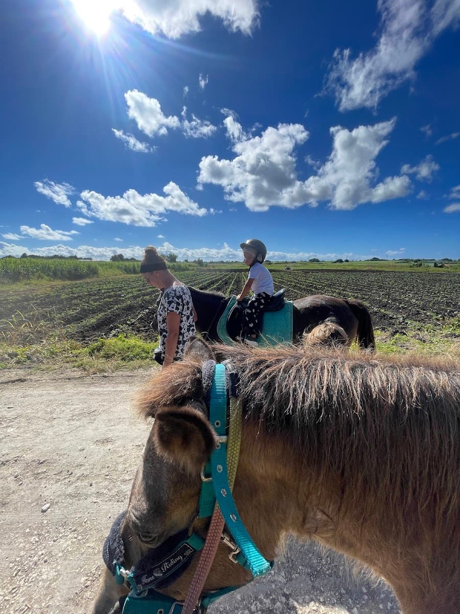 EQUI PLUS BAGGHI — photo 1