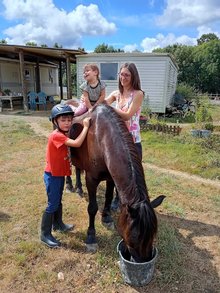 EQUI TRANSITION — photo 1