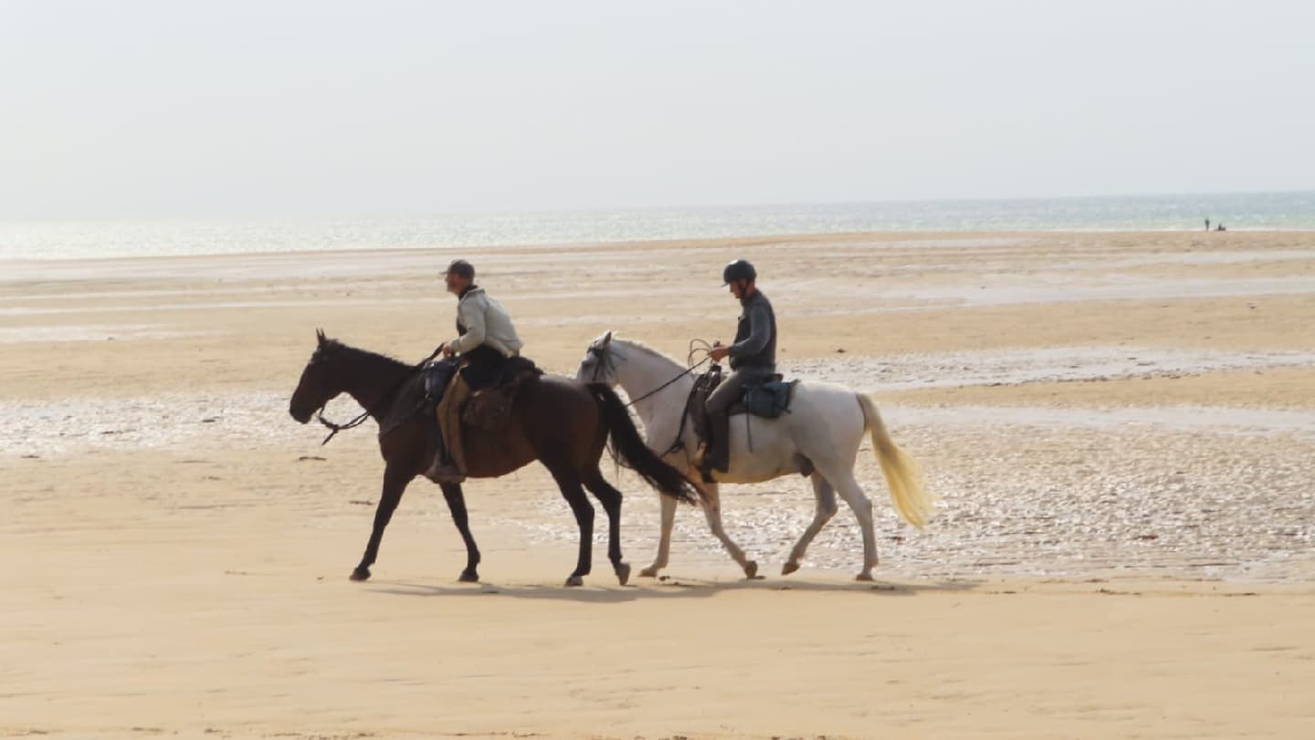 EQUID EXT — photo 1