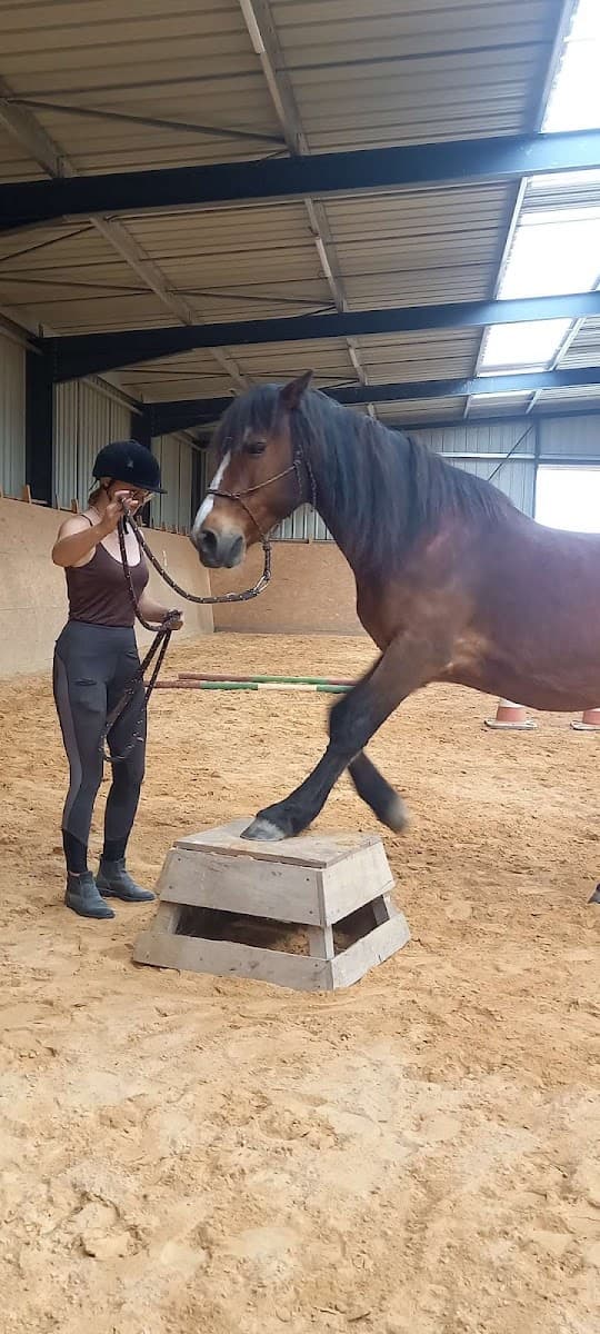 EQUIMAGIC — photo 1