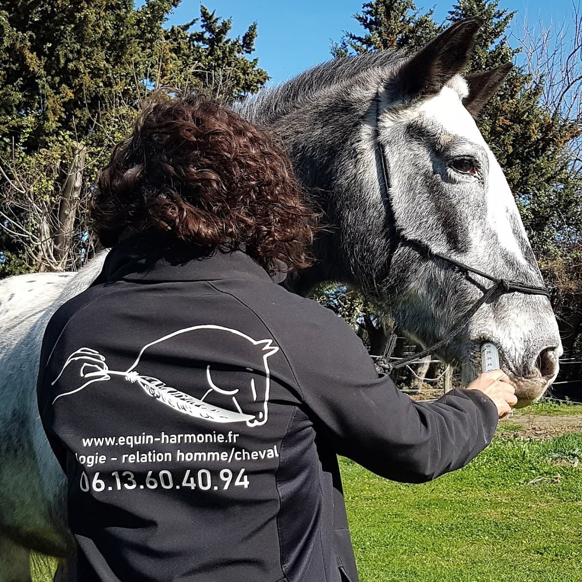 EQUIN HARMONIE — photo 1