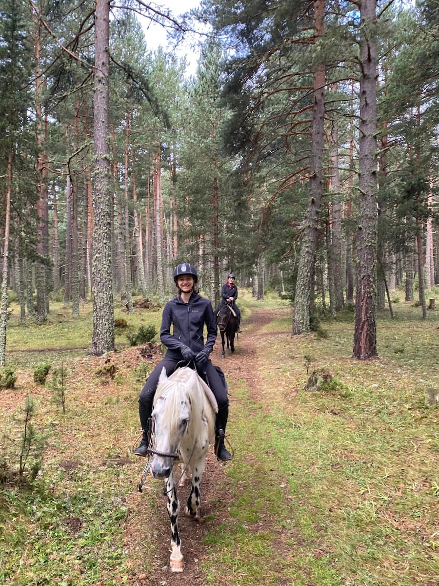 EQUISUD — photo 1