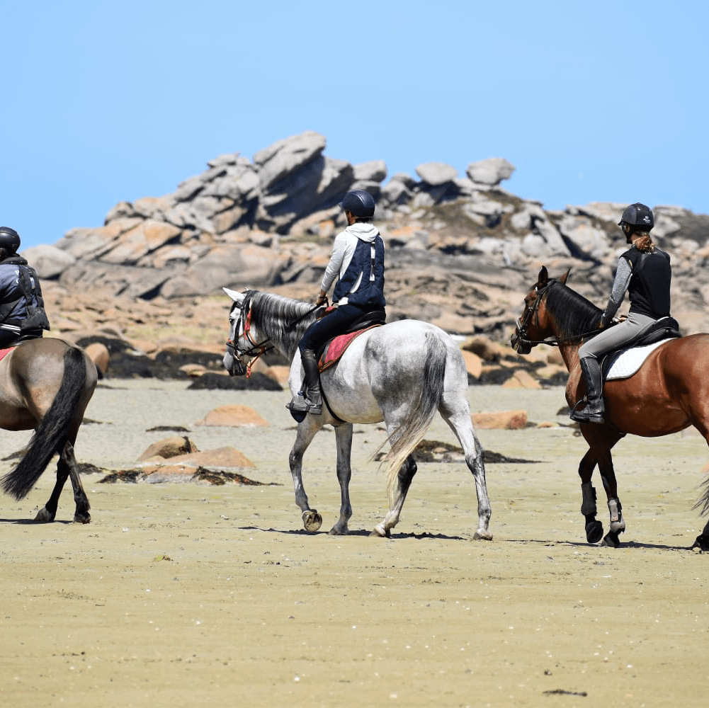 EQUITATION SAINT SAMSON — photo 1
