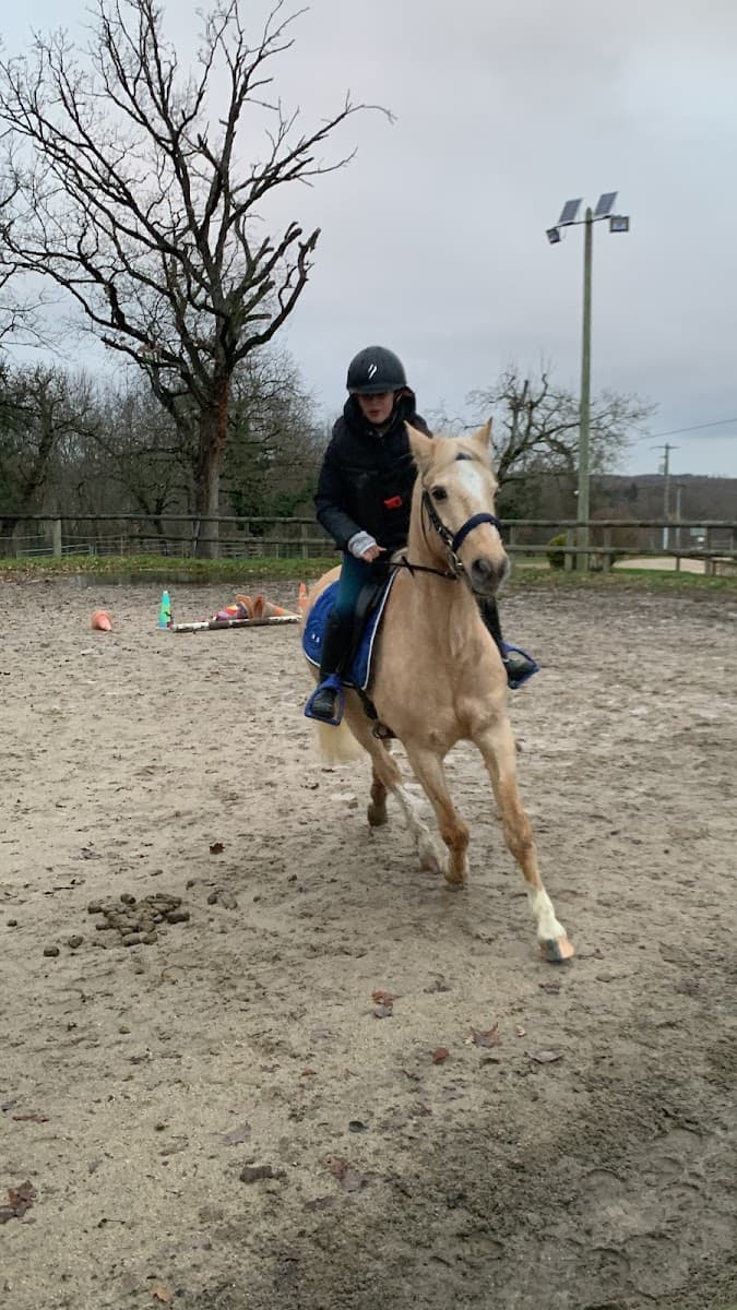 ESPACE EQUESTRE DE DORSON — photo 1