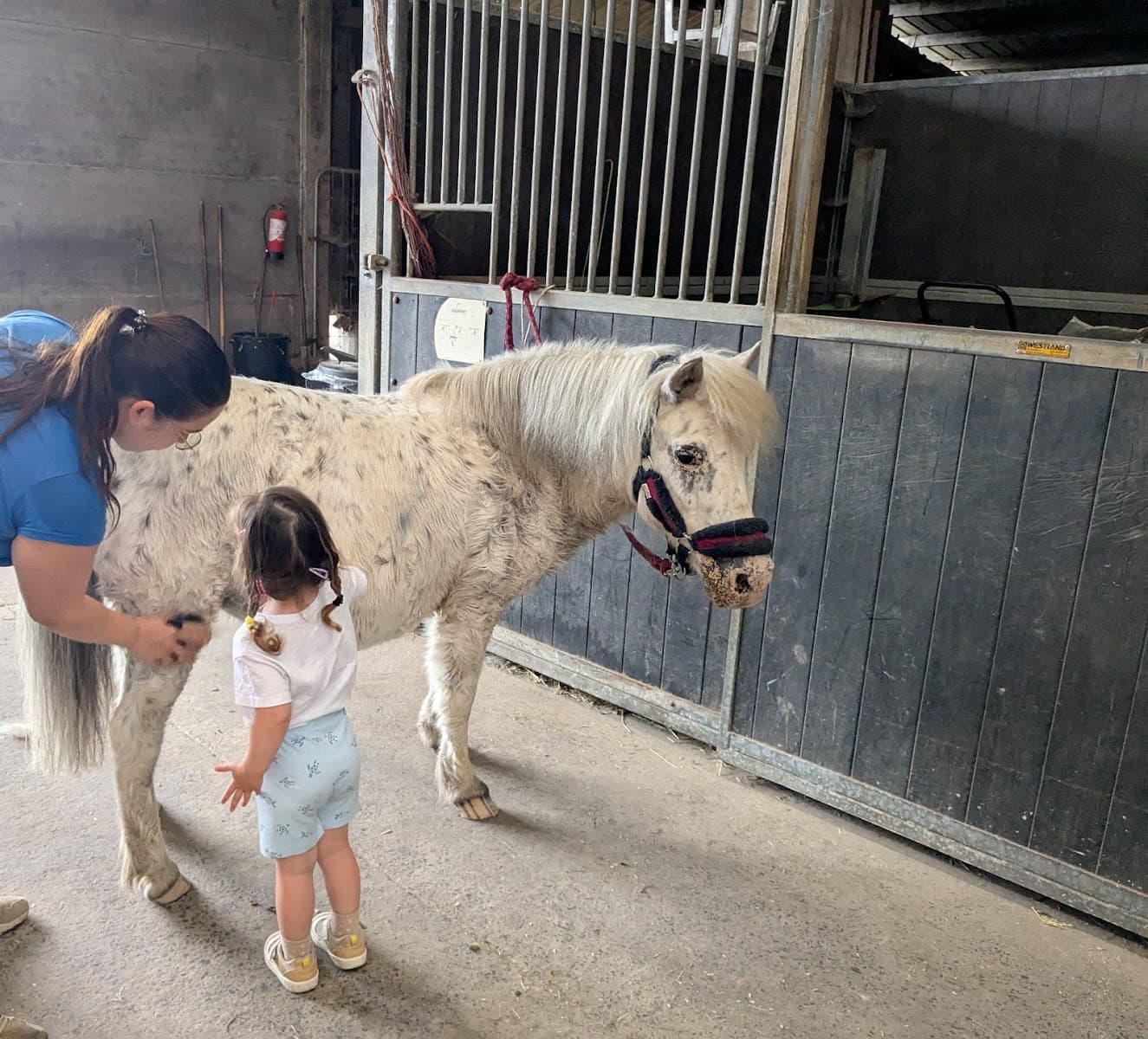FERME DE L AUTOUR — photo 1