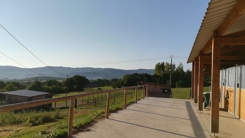 FERME DES MOLLIERES AMERICAN HORSES — photo 1