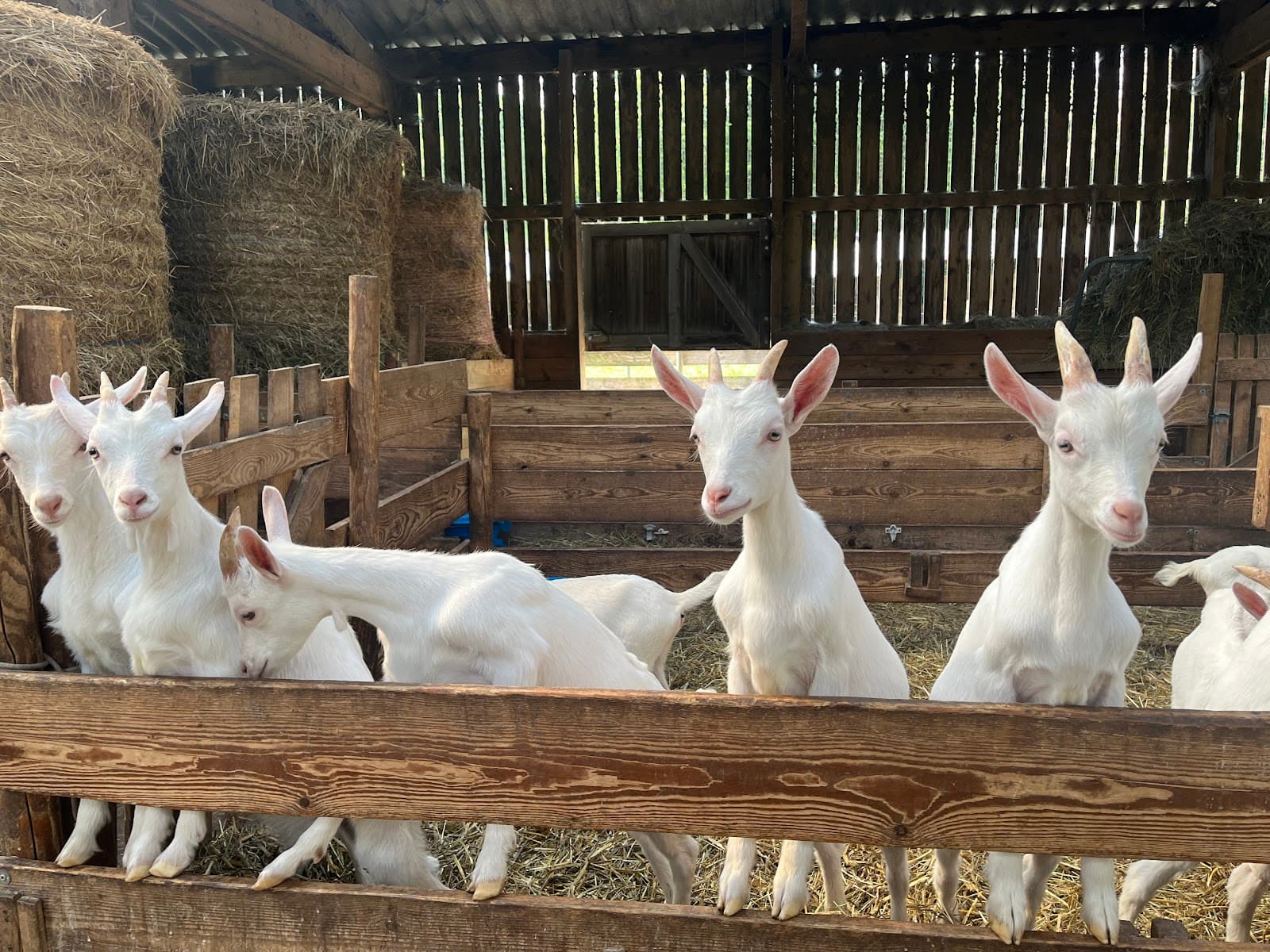 FERME DU VAL DE BURES — photo 1
