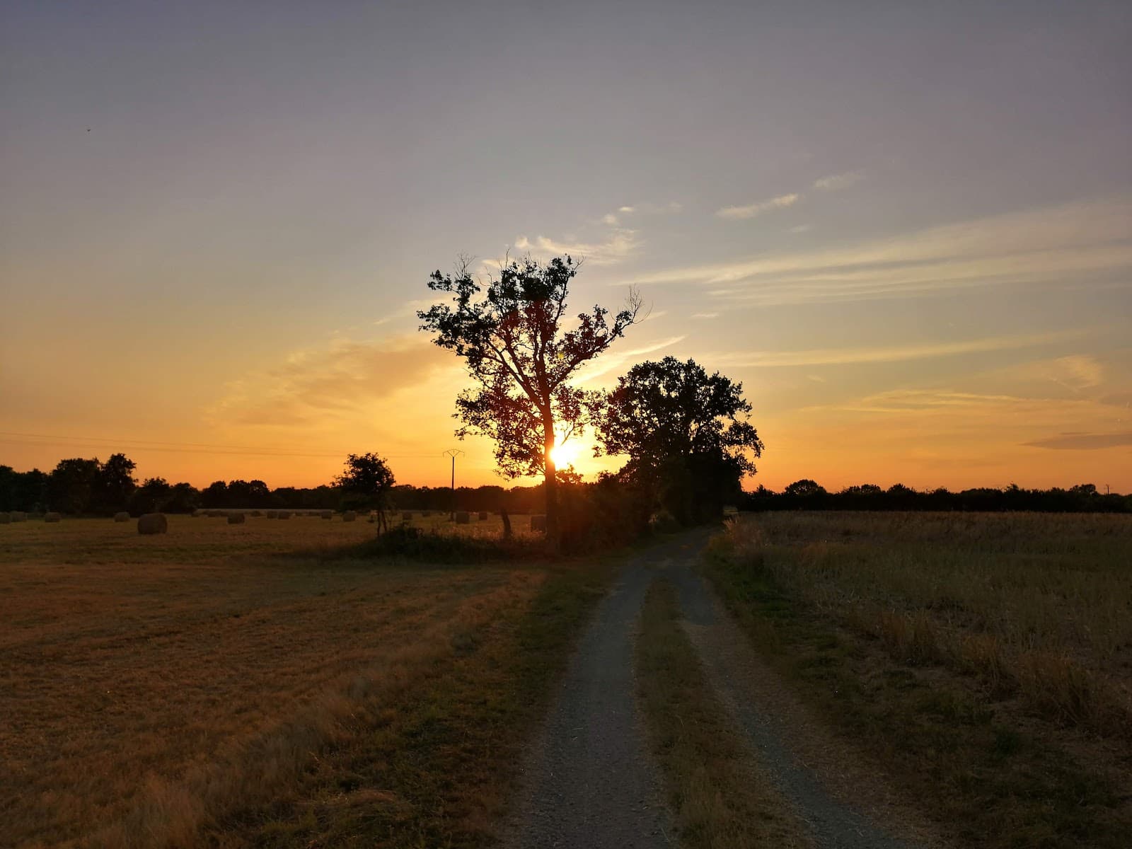 FERME EQUESTRE DE LA PETITE LANDE — photo 1