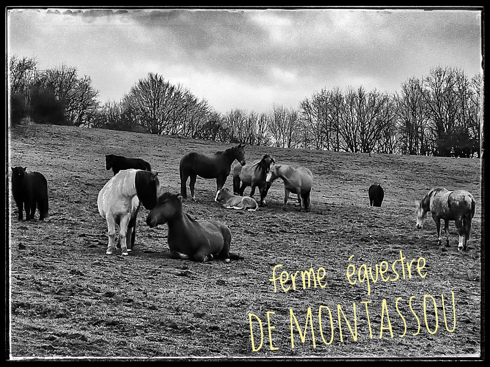 Ferme équestre de Montassou — photo 1