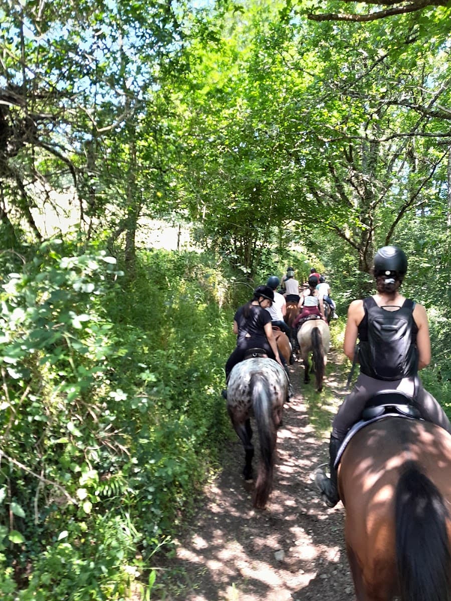 FERME EQUESTRE DE POMAYRET — photo 1
