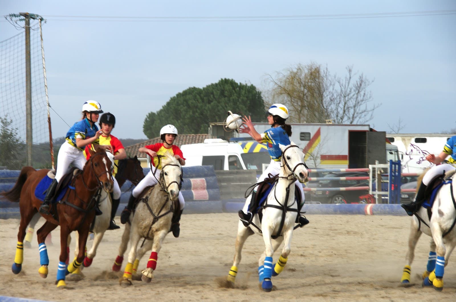 FERME EQUESTRE DU BADOUR — photo 1