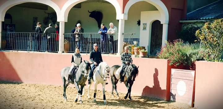 FERME EQUESTRE DU MAS DE FONT GRANADA — photo 1