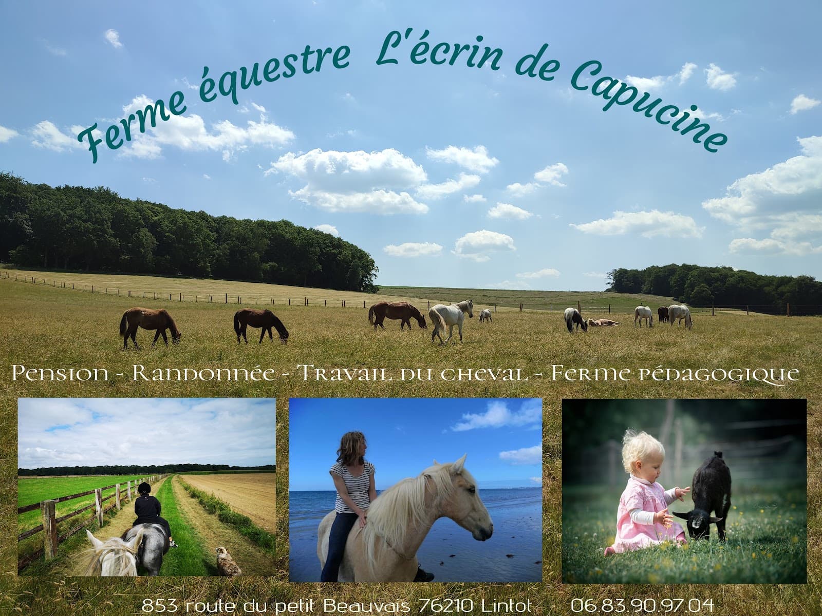 Ferme équestre L'écrin de Capucine — photo 1