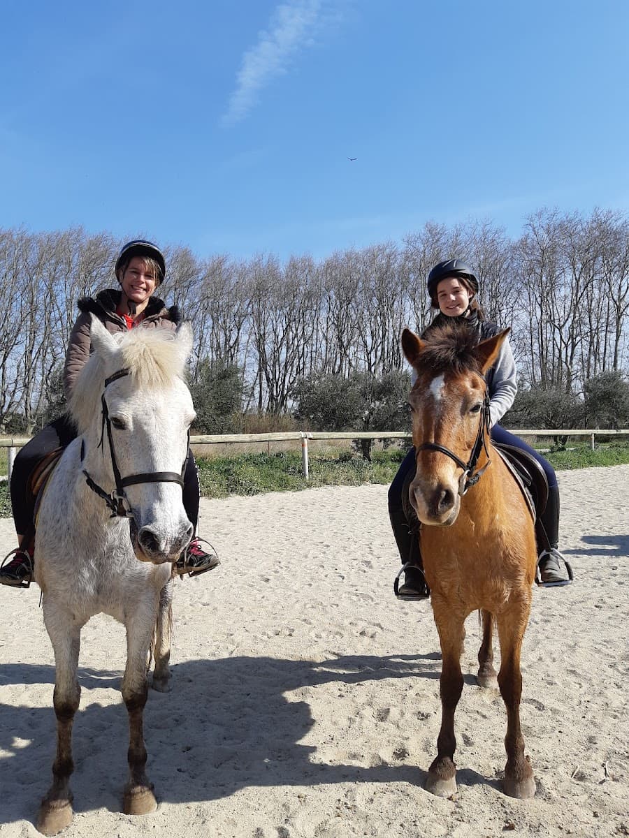FERME EQUESTRE — photo 1