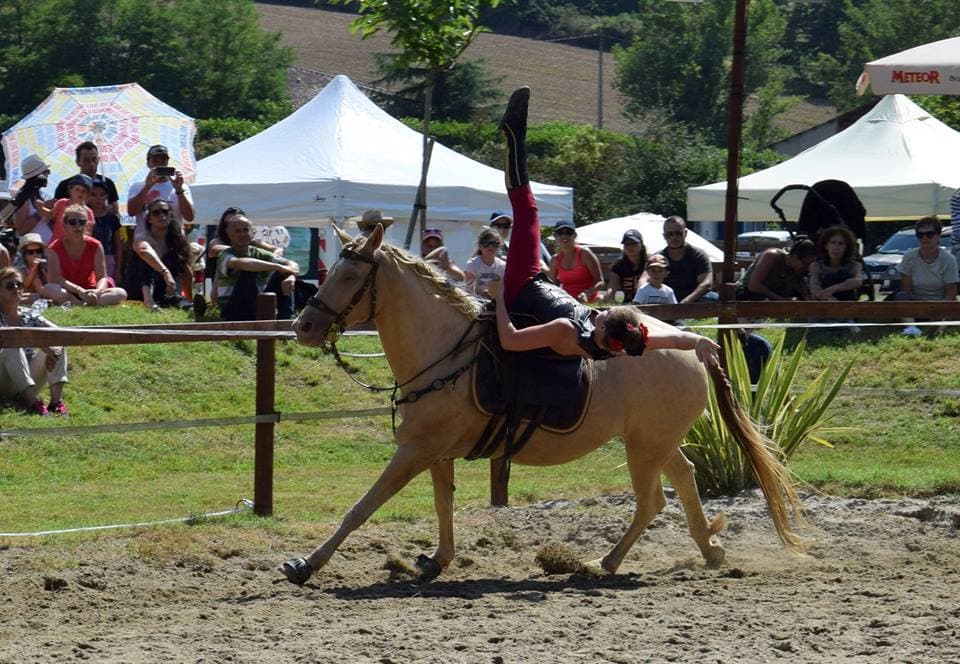 FESTIBERIQUE ASSOCIATION — photo 1