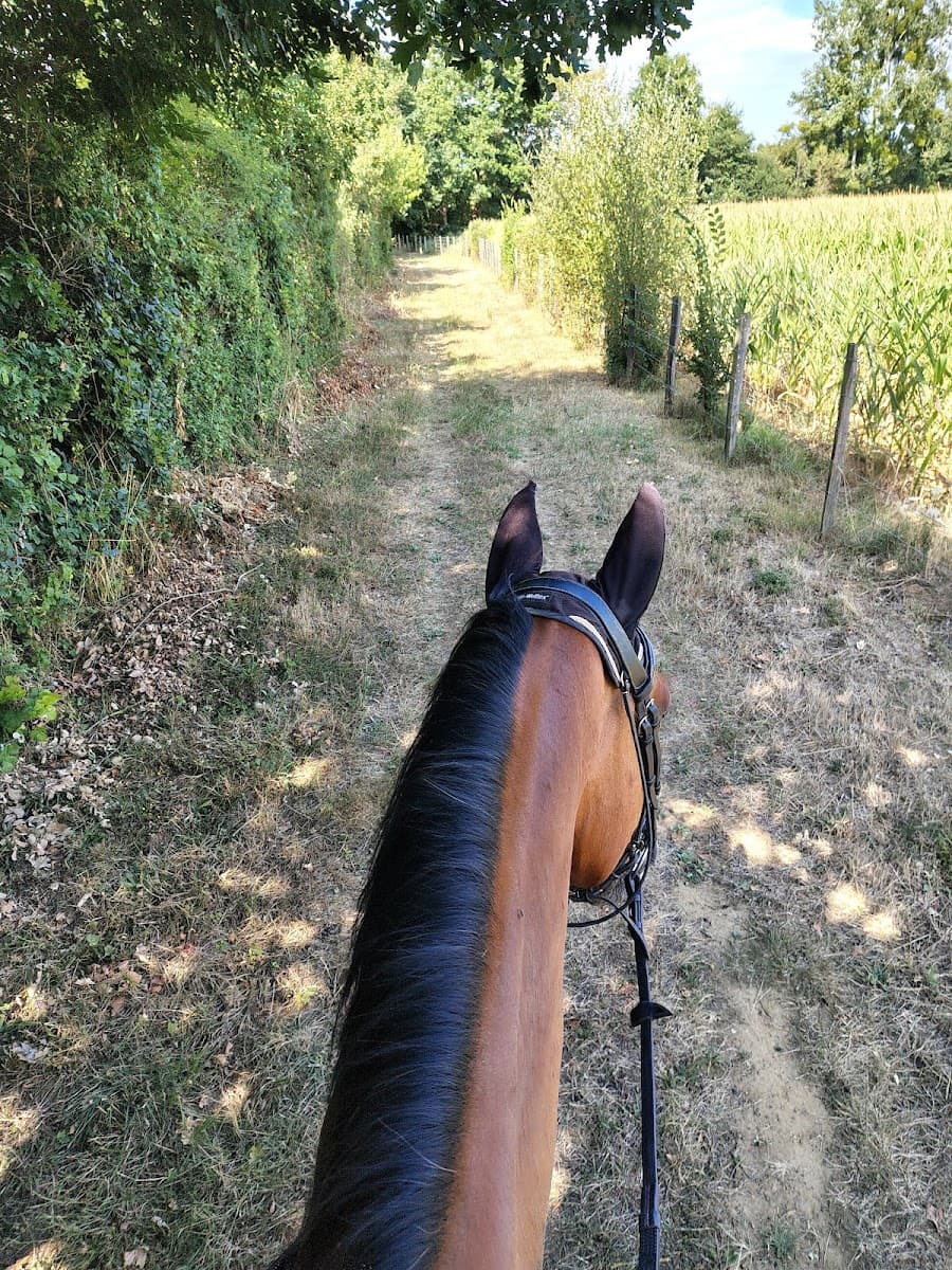 GENON EQUESTRIAN SPORT — photo 1