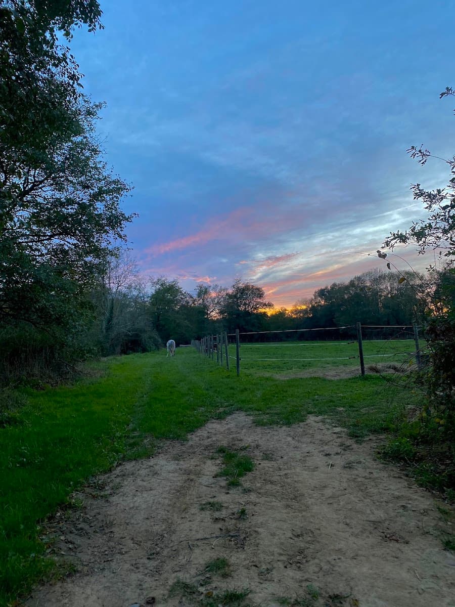 HARAS D OXLEY — photo 1
