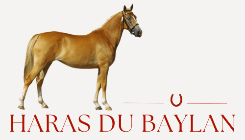 HARAS DE BAYLAN — photo 1
