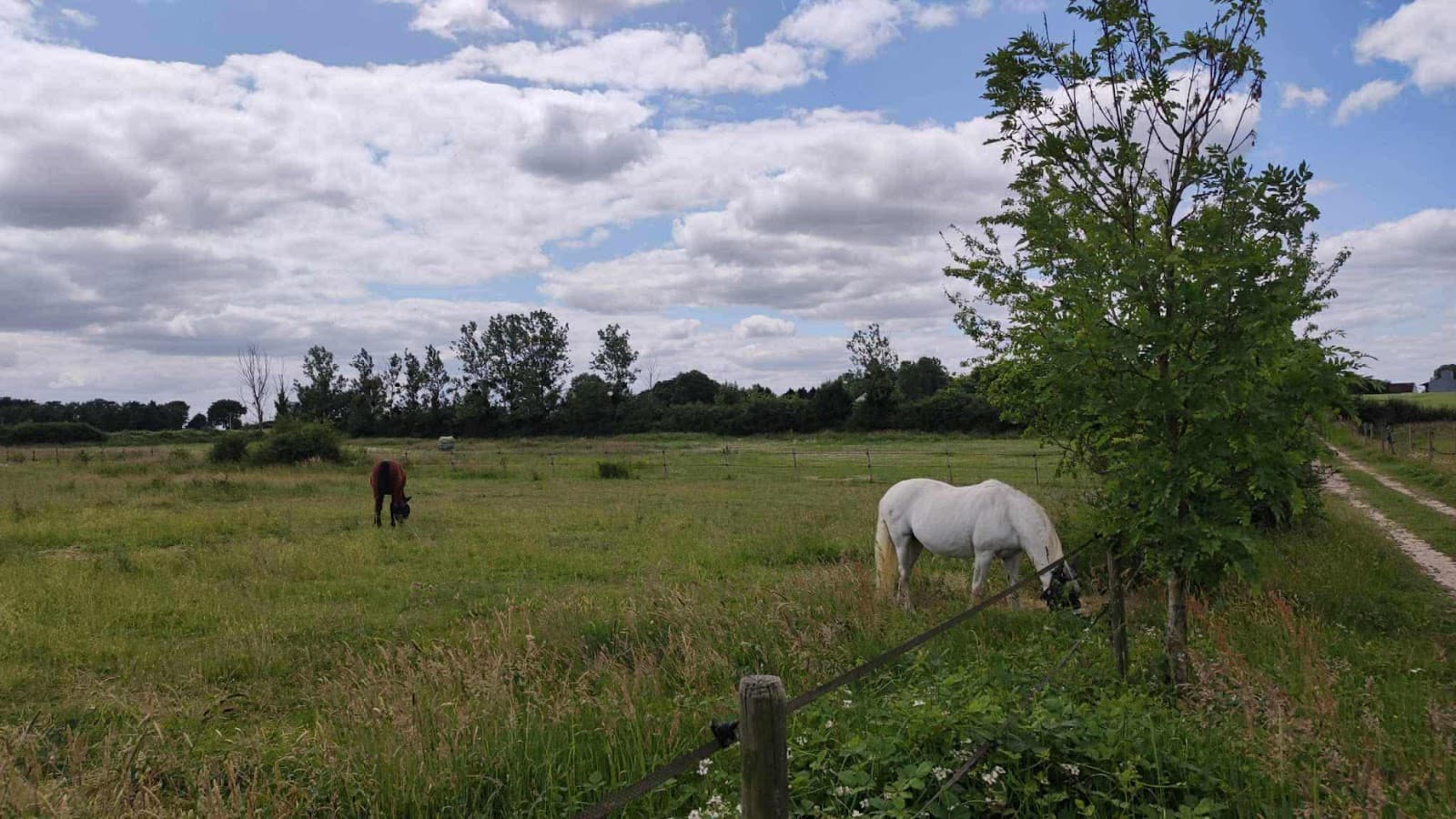 HARAS DE BUISSAY — photo 1