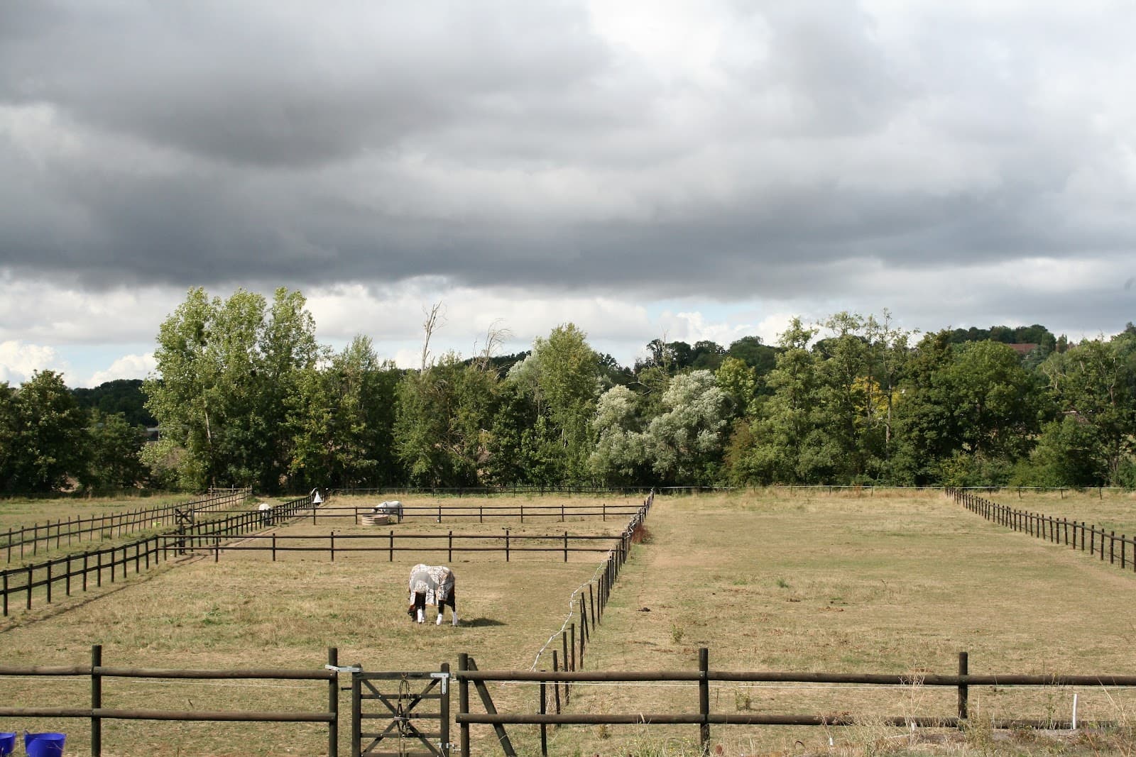 HARAS DE CHALVERGNES — photo 1