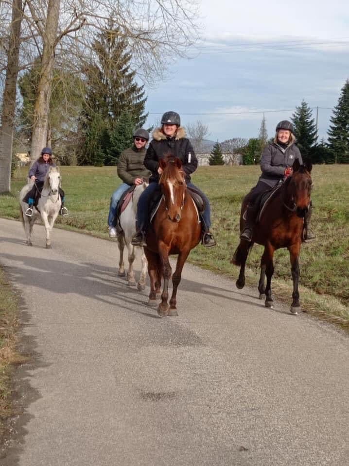 HARAS DE CHEVAL EVASION — photo 1
