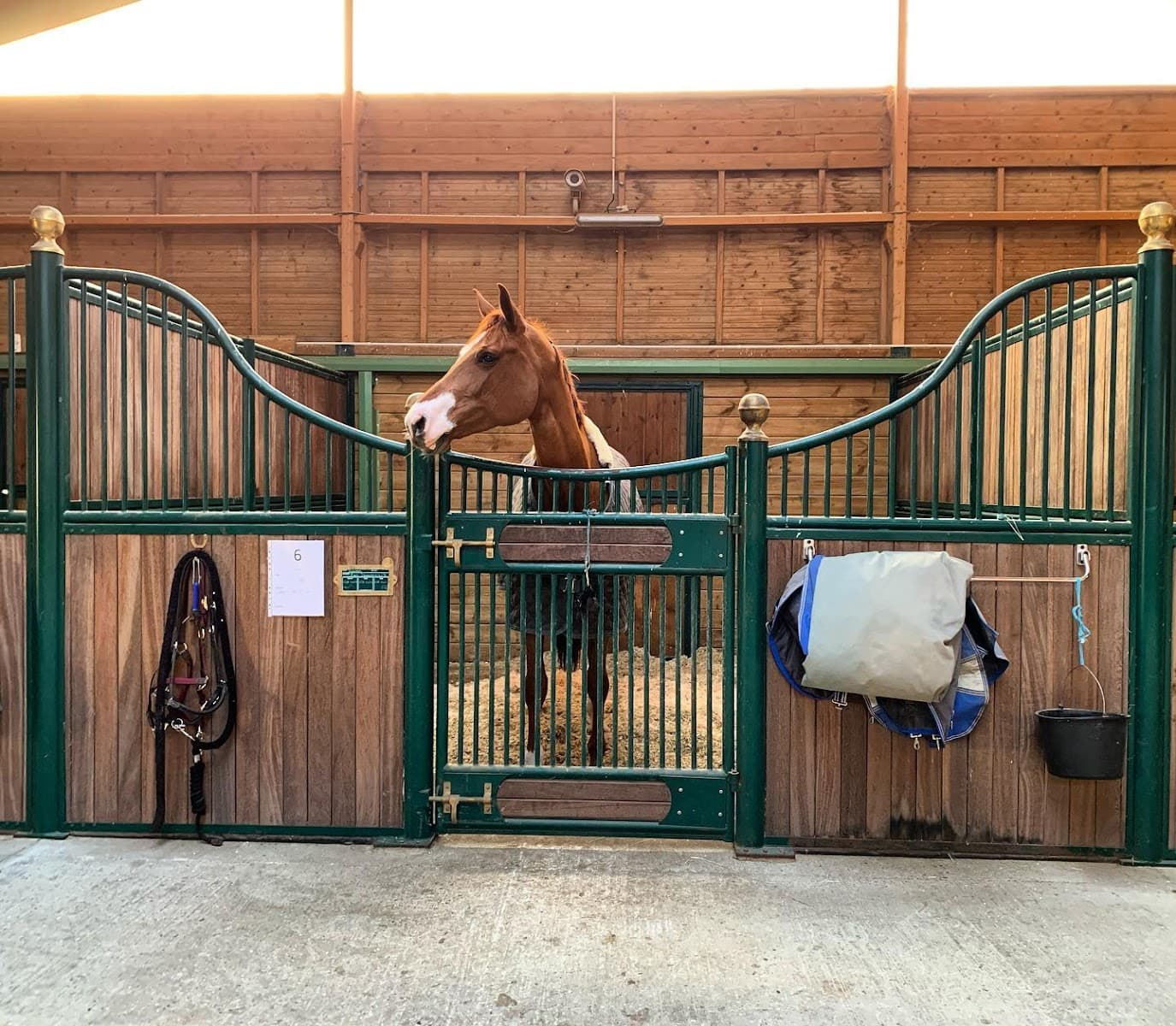 HARAS DE L ERABLE — photo 1