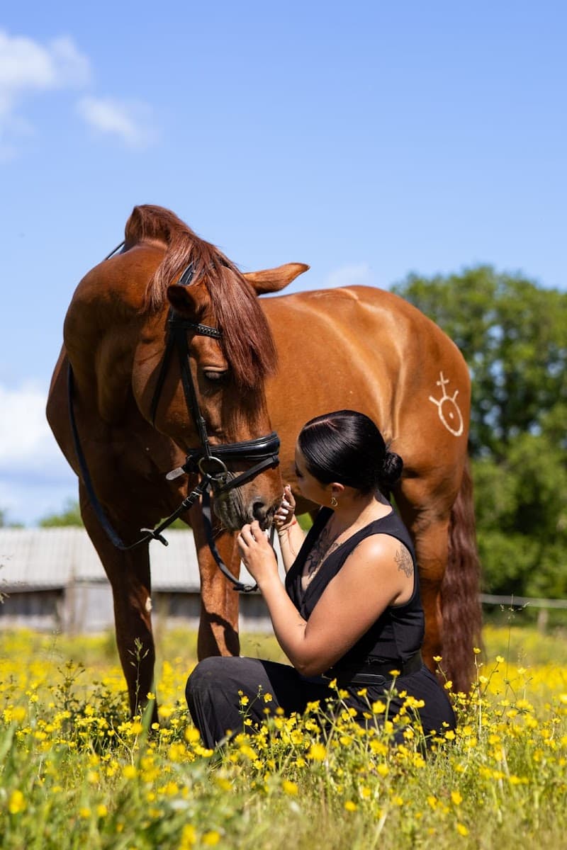 HARAS DE L ESPERANZA — photo 1
