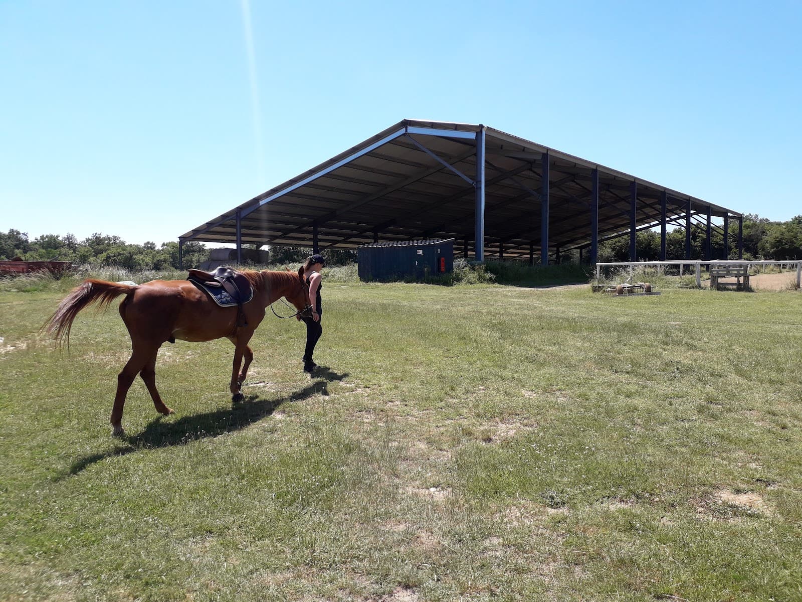 HARAS DE L OLIVIER — photo 1