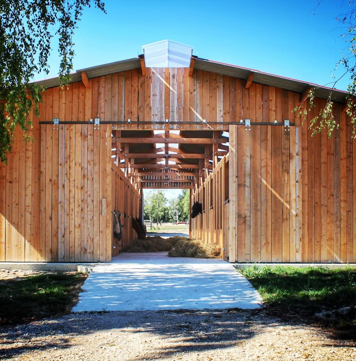 HARAS DE LA COLOMBE — photo 1
