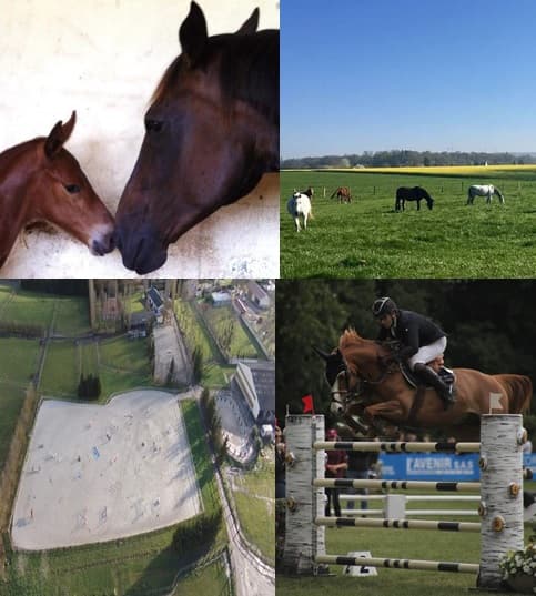 HARAS DE LA FONTAINE — photo 1