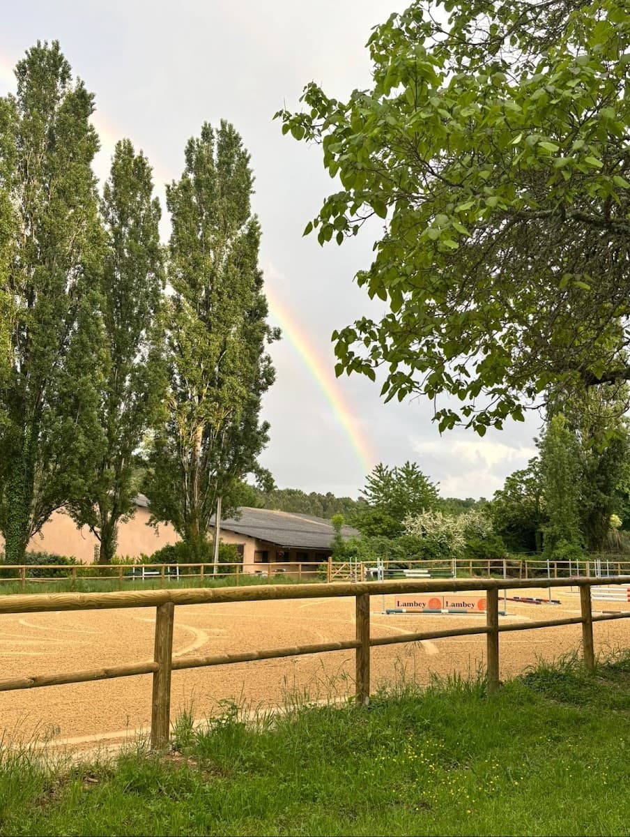 Haras de la Forêt — photo 1