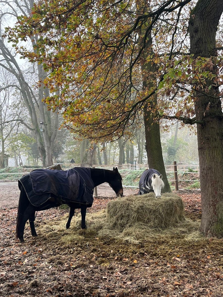 HARAS DE LA SUEF — photo 1